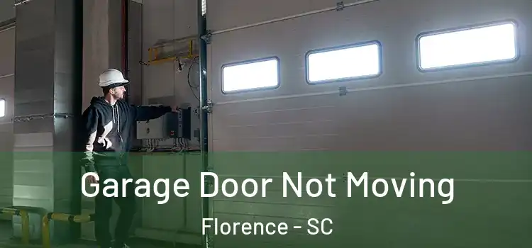  Garage Door Not Moving Florence - SC