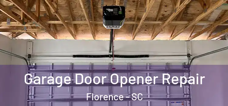  Garage Door Opener Repair Florence - SC
