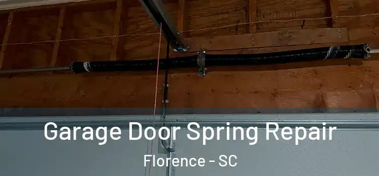  Garage Door Spring Repair Florence - SC