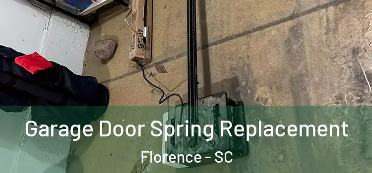  Garage Door Spring Replacement Florence - SC