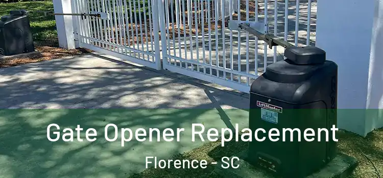 Gate Opener Replacement Florence - SC