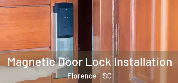  Magnetic Door Lock Installation Florence - SC