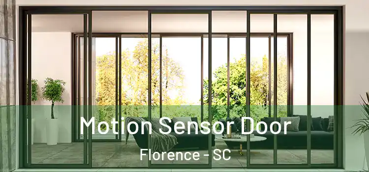  Motion Sensor Door Florence - SC